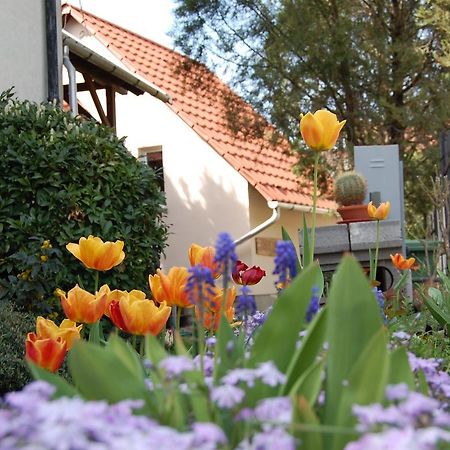 Maya Guesthouse Eger Kültér fotó