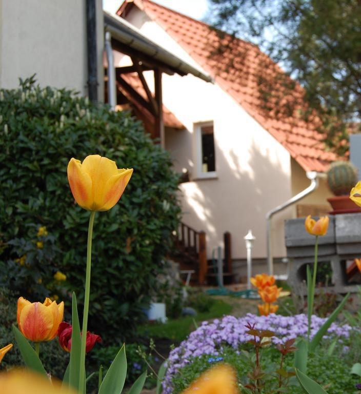 Maya Guesthouse Eger Kültér fotó