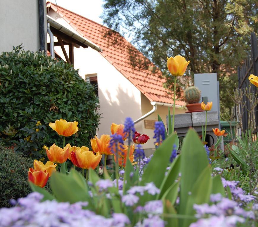 Maya Guesthouse Eger Kültér fotó